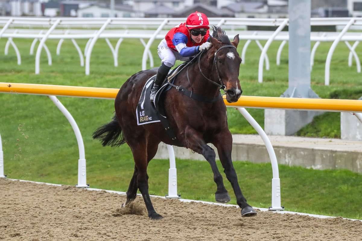 Parsons team ready for Wingatui