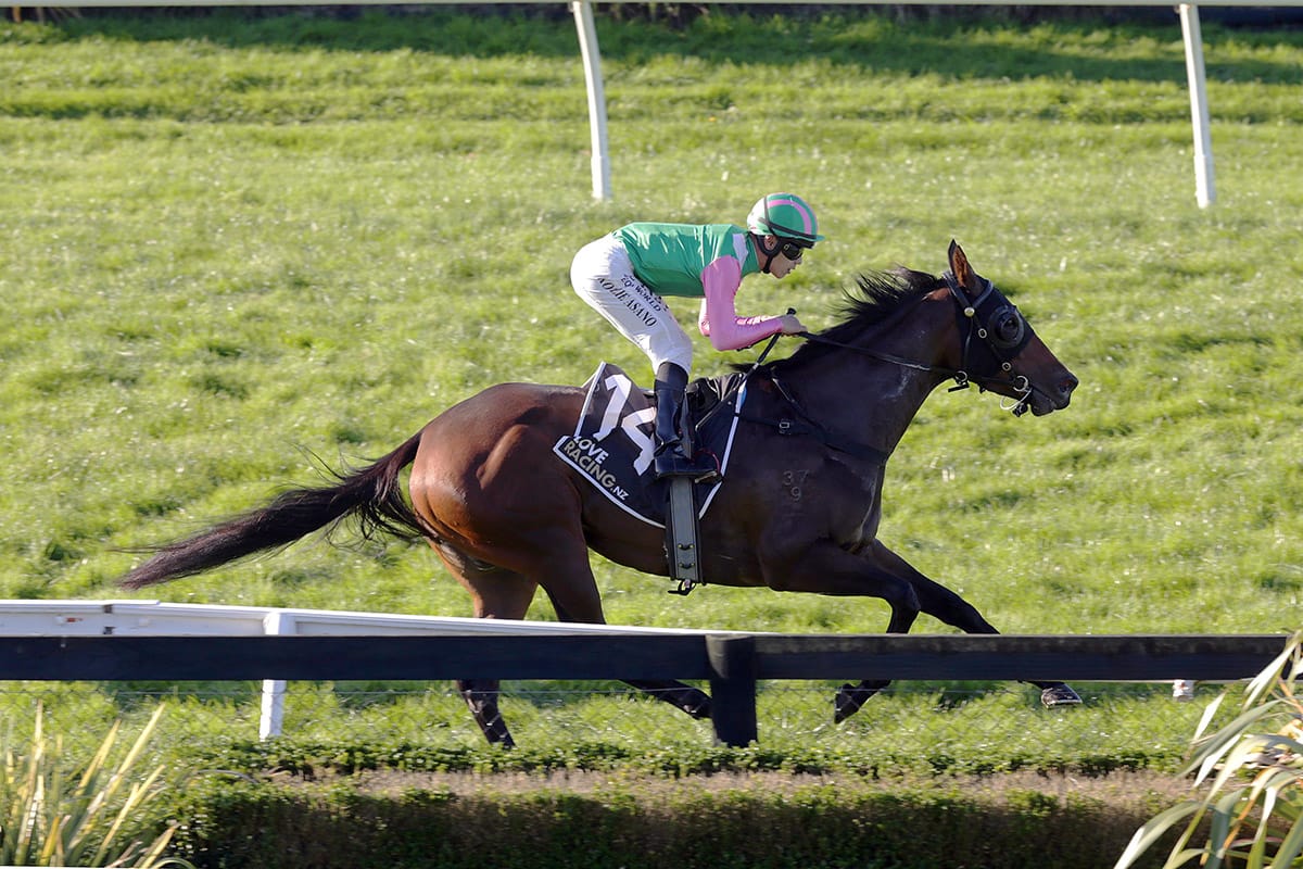 Wessex to resume in Group Three