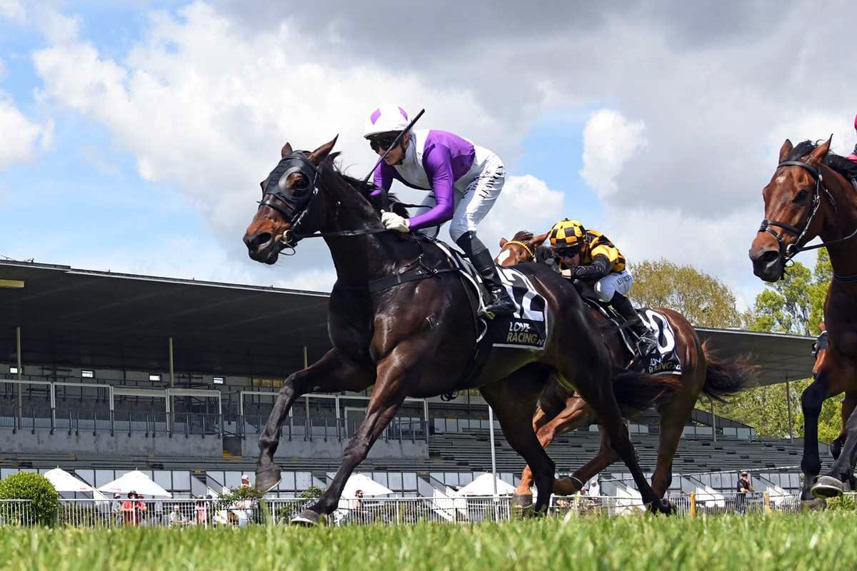 Zalia ticking all the boxes ahead of Group Three test