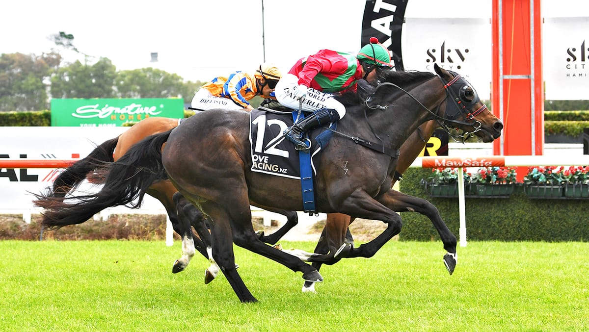 Patience pays off with Zecora