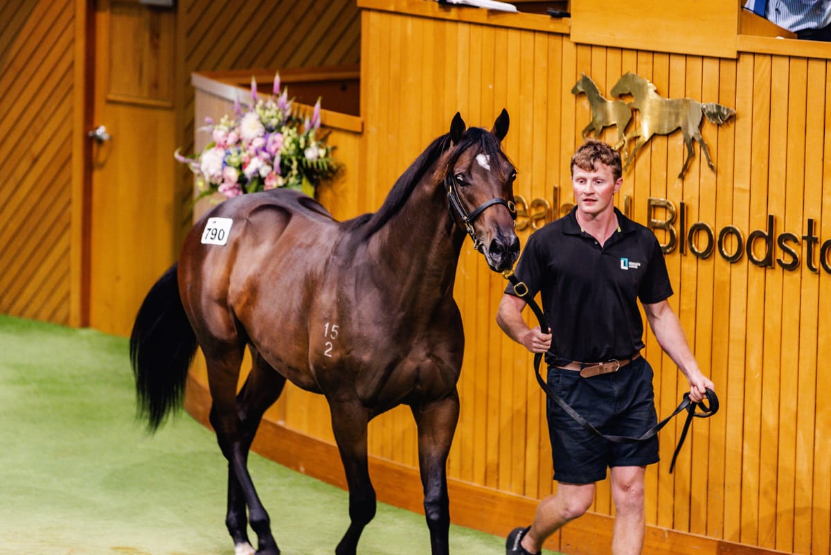 Quickfire Session Kicks Off Book 2 Sale