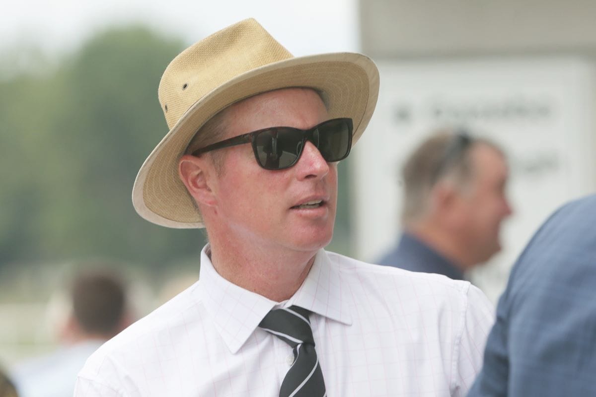 Wexford stablemates chasing deserved first win