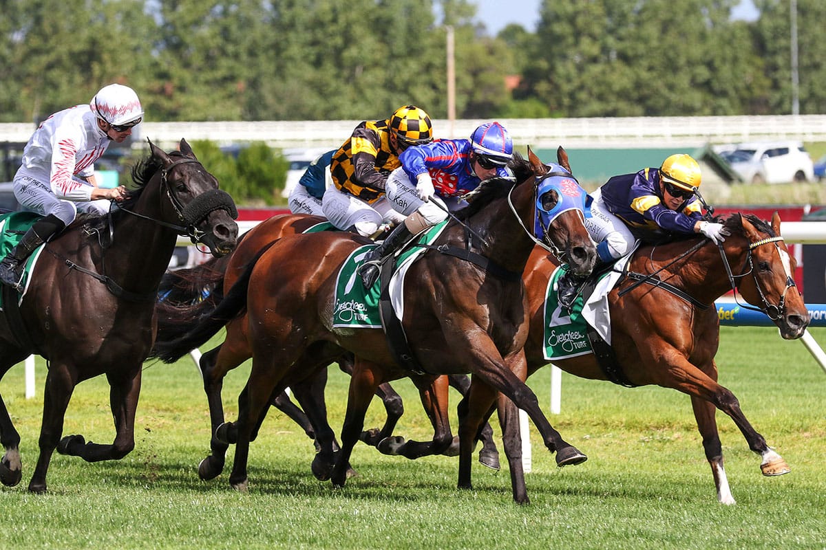 Caulfield specialist Ayrton strikes again in John Dillon