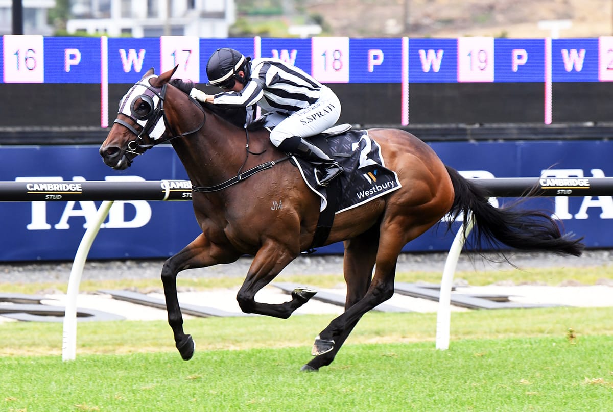 Belclare back in winners circle