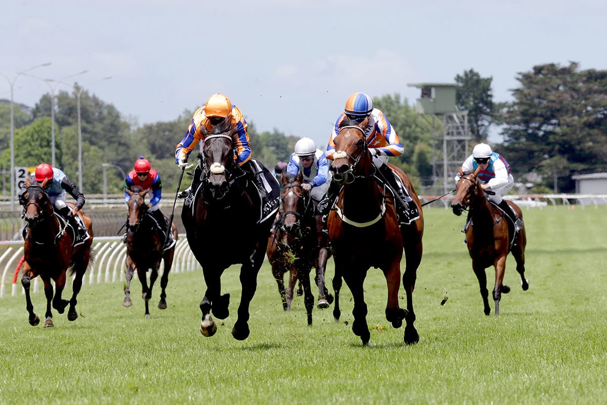 Bellatrix Star scores in Group Two