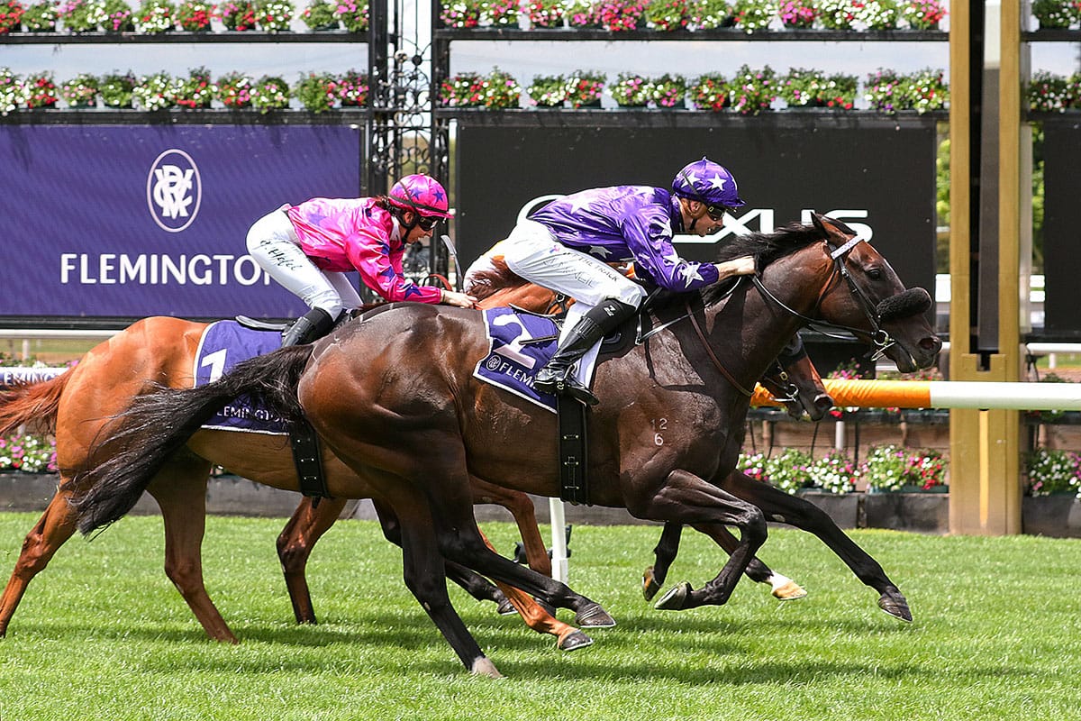Bermadez resolute in Flemington triumph