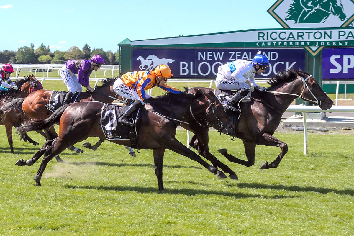 The Oaks Stud looking to future with yearling draft and racing team