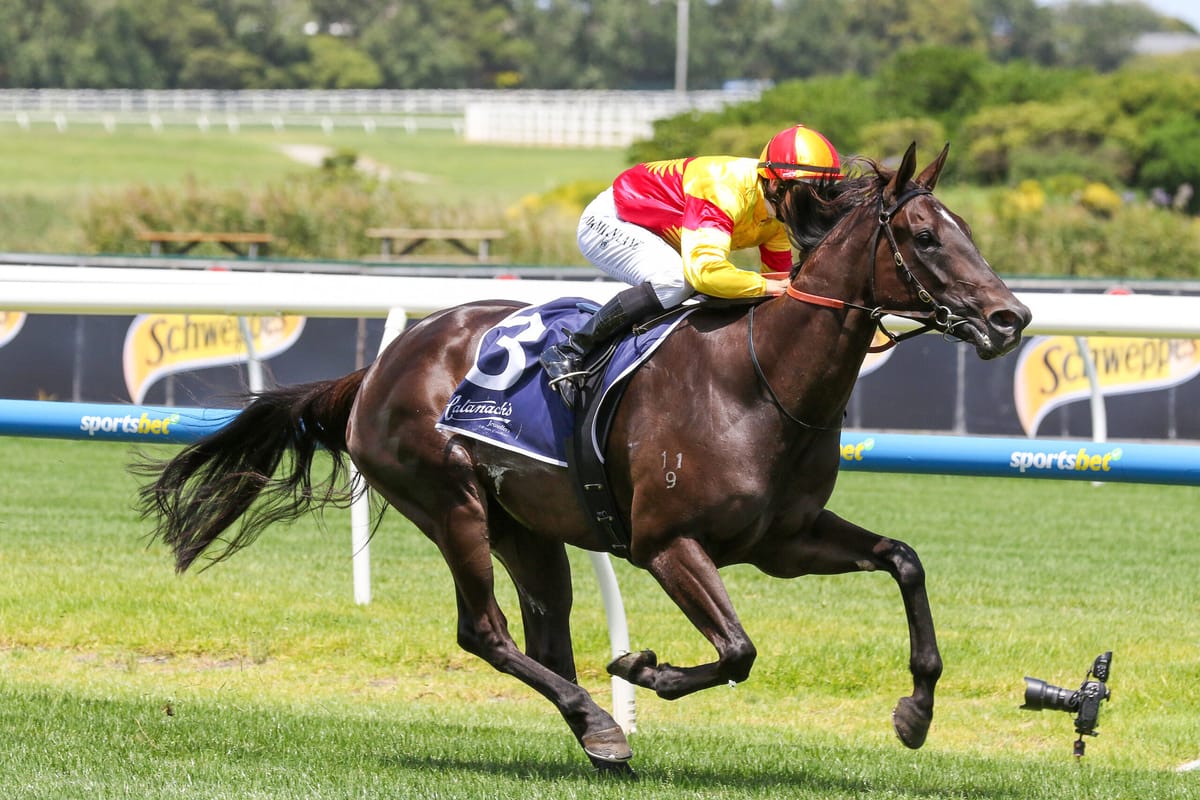 Black type beckons Eternal Flame