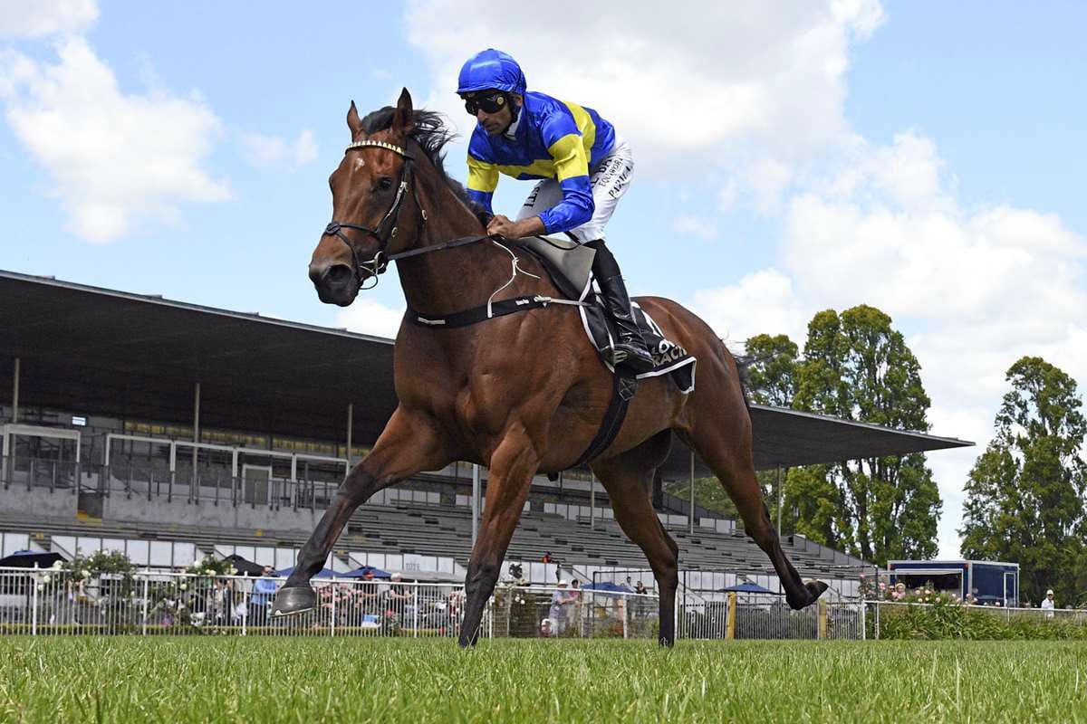 Grail Seeker chasing spotlight