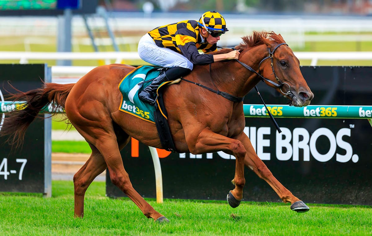 Holymanz settling in to Karaka base