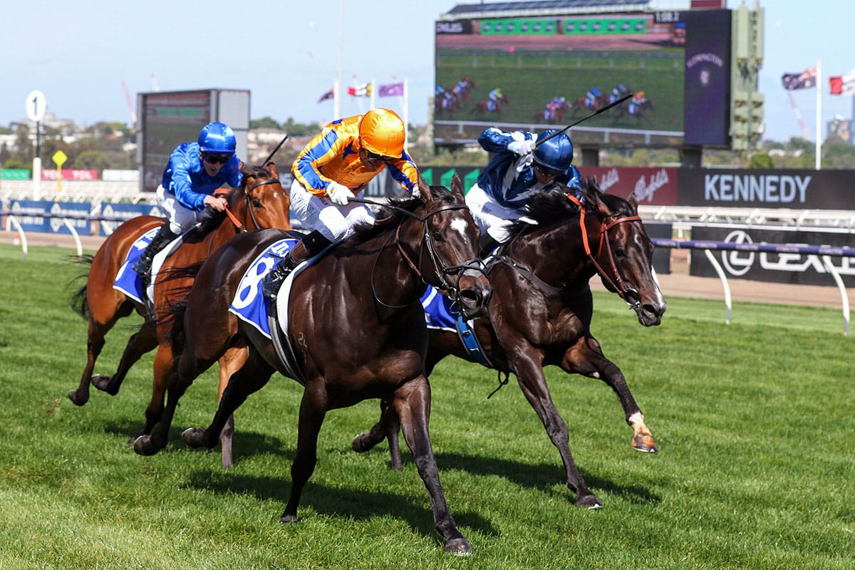 Imperatriz ready for trial