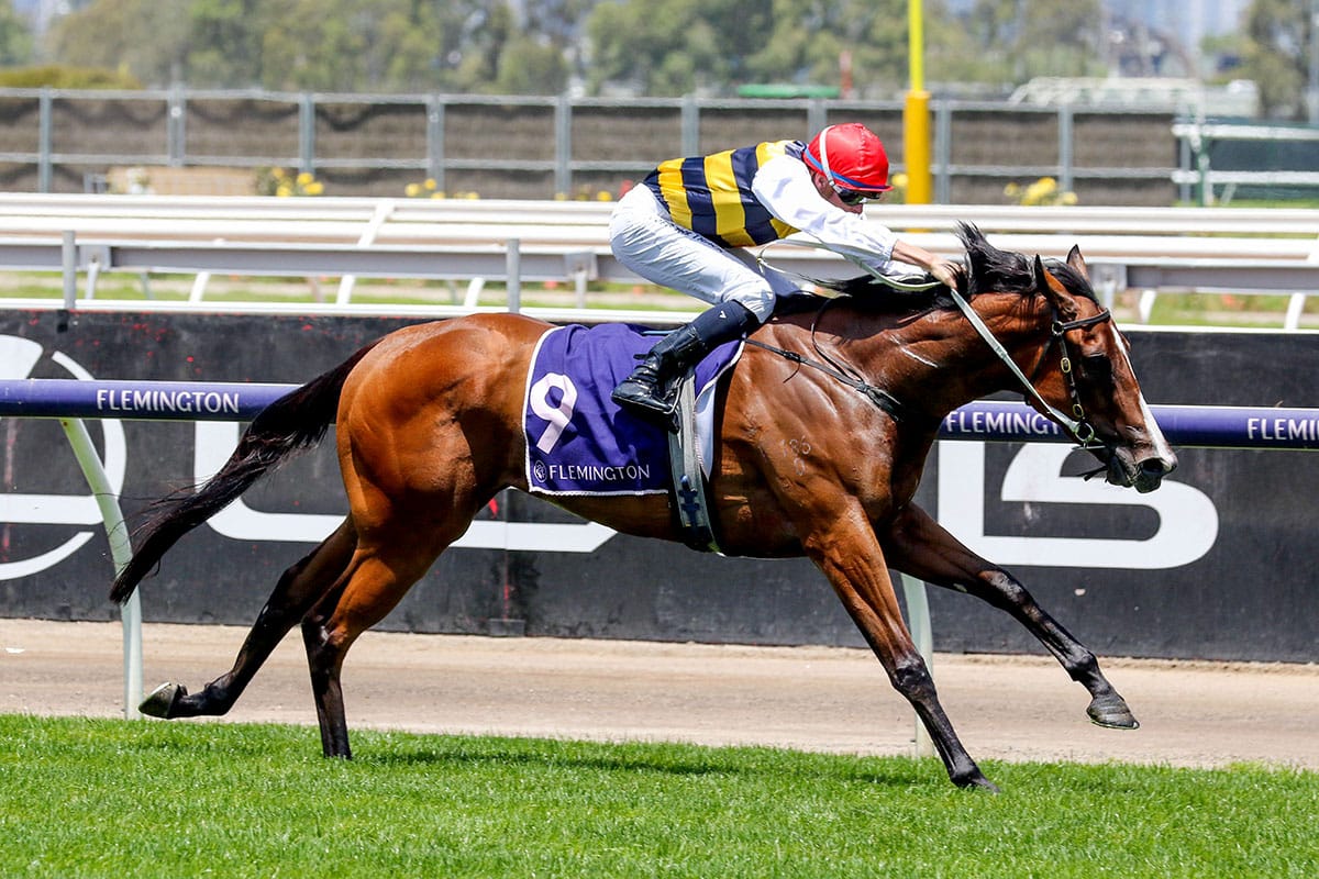 Up-and-comer Krementz strikes at Flemington