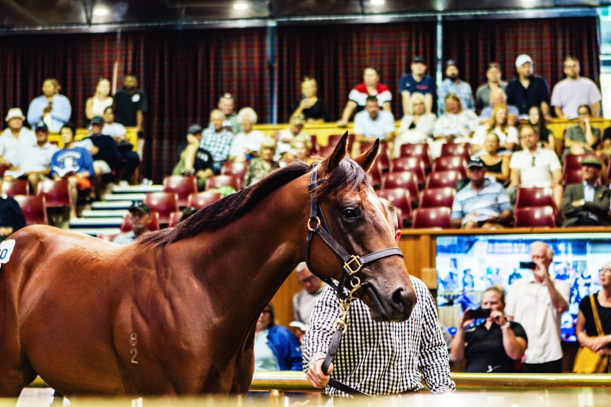 Flurry of Late Bids Closes Out Strong Second Day