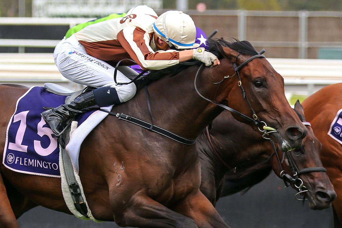 Legarto primed for Aotearoa Classic