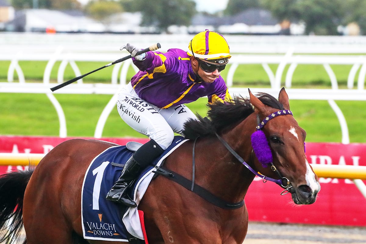 Summer plans back on track for Live Drama