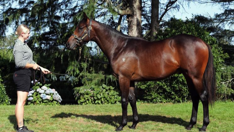 Sales draft signifies an end of an era for Wentwood Grange