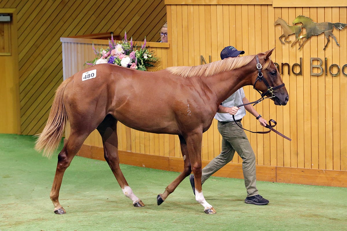 Brown continues love affair with Proisir