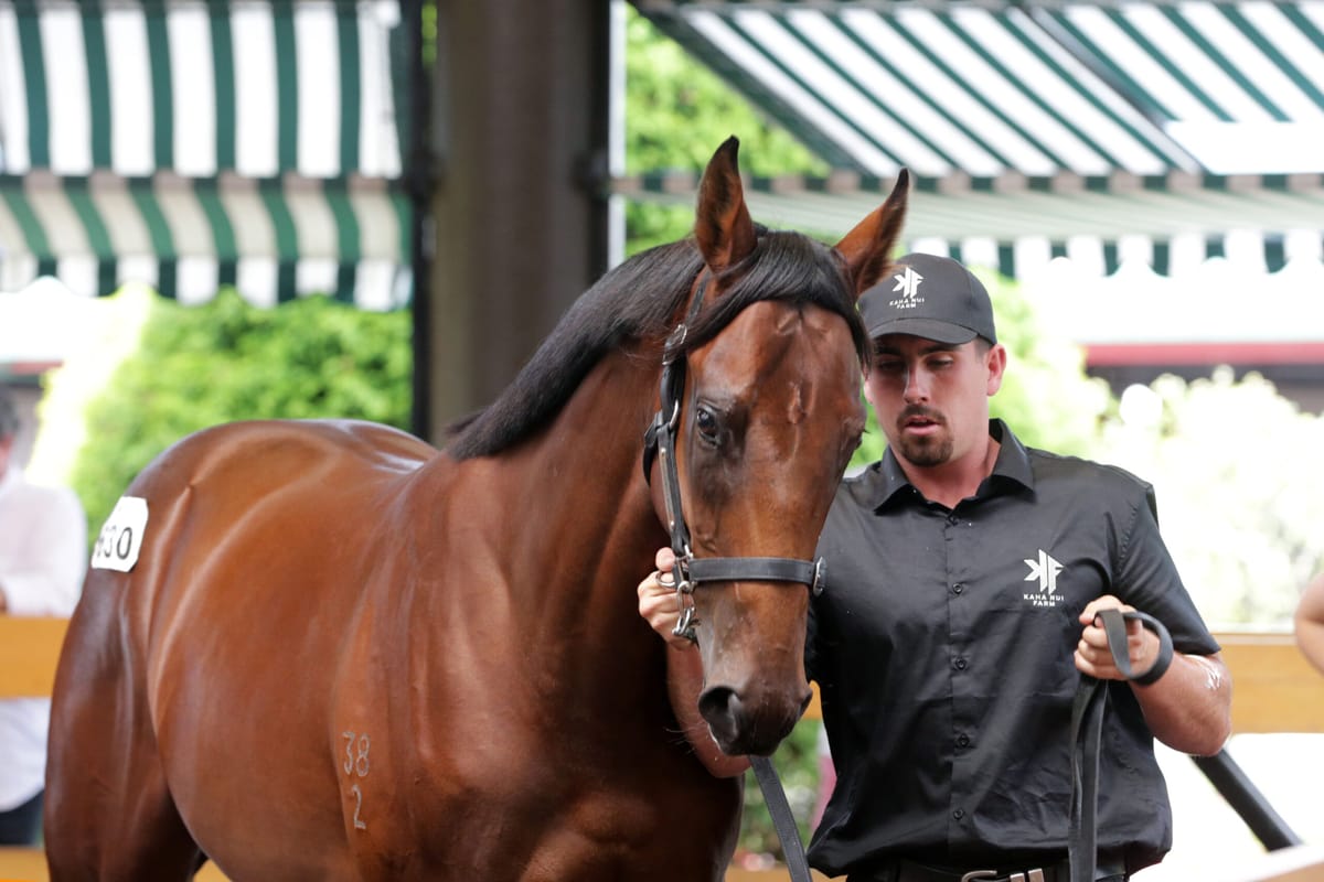 Richards lands prized Deep Field colt