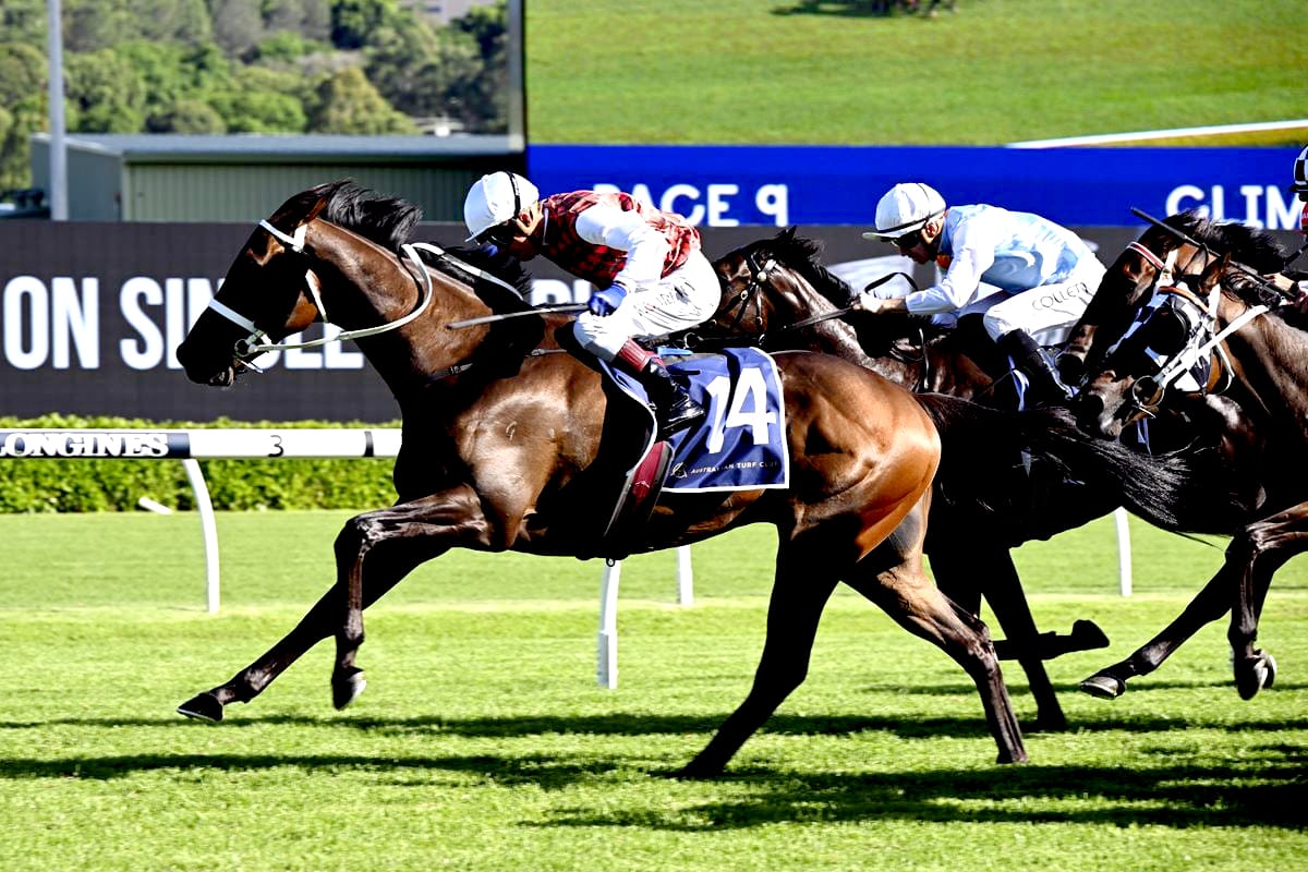 Lyrical Gangster heads Kiwi-bred quinella at Randwick