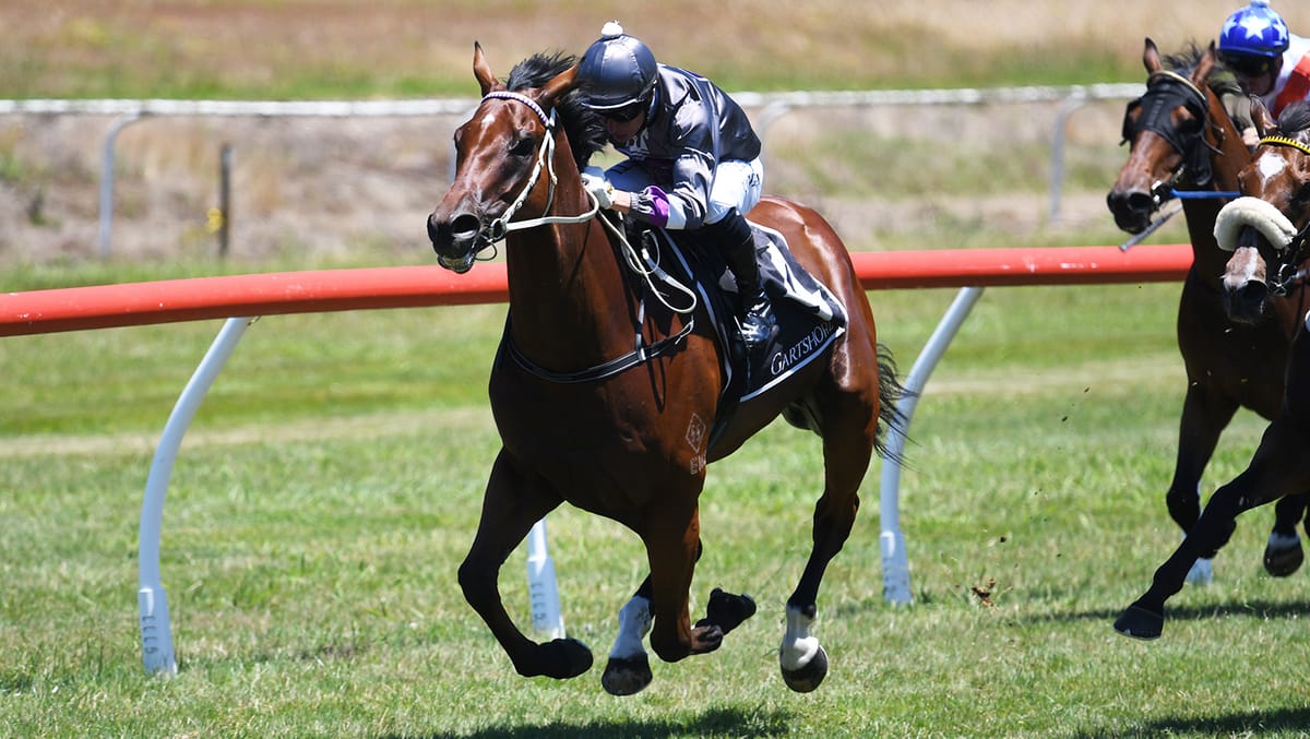 Former Hong Kong galloper wins in NZ debut