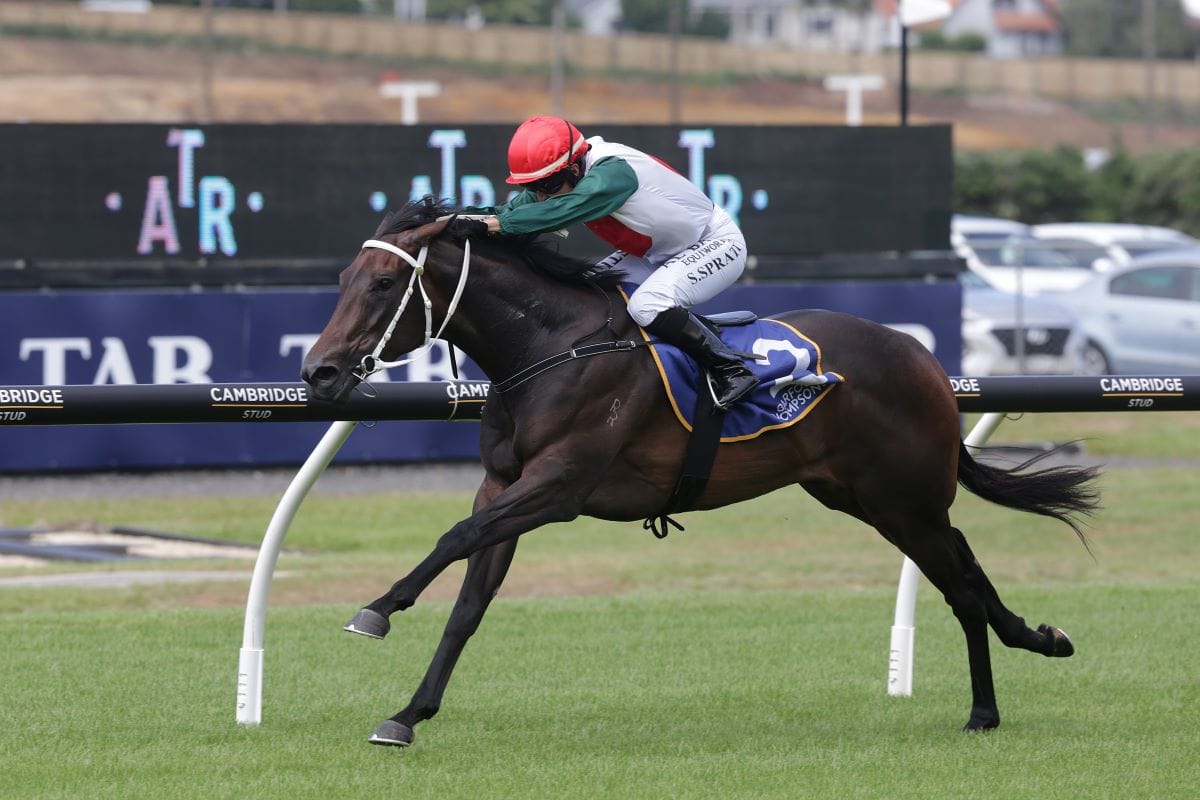 Merchant Queen wins first race at Ellerslie reopening