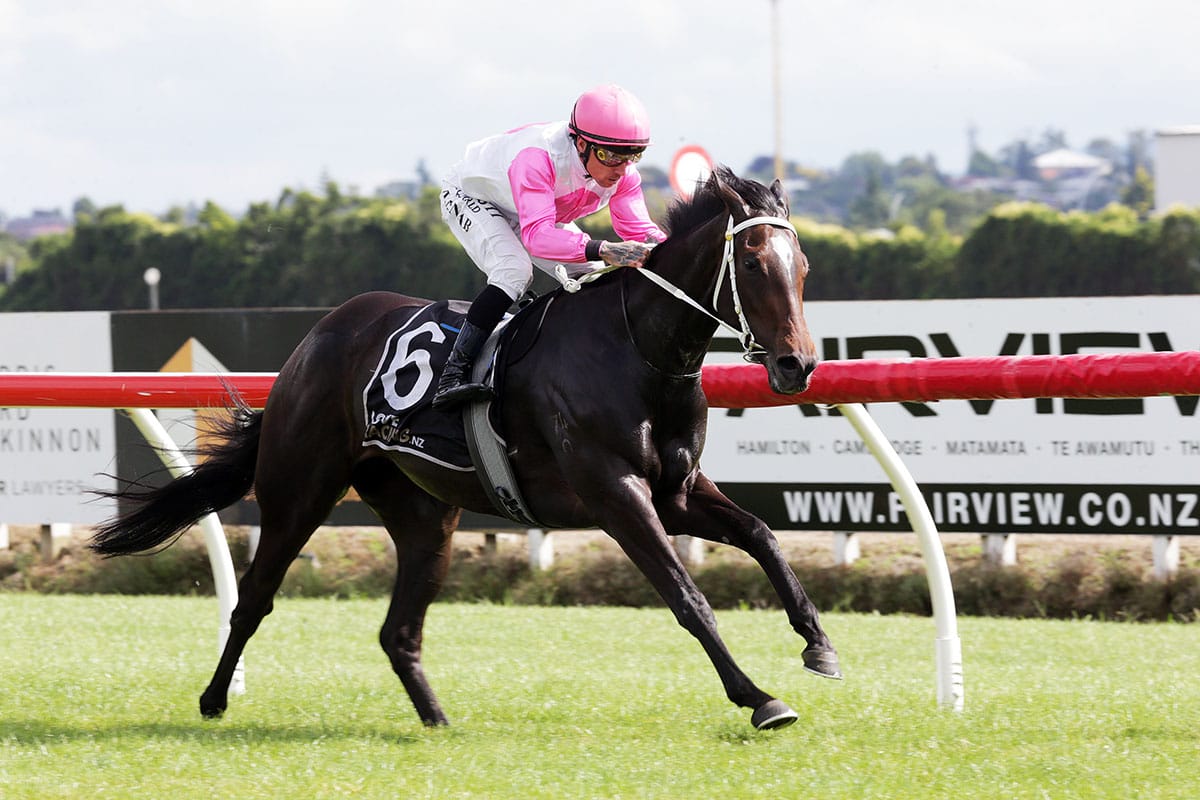 Marsh duo vying for Group One honours