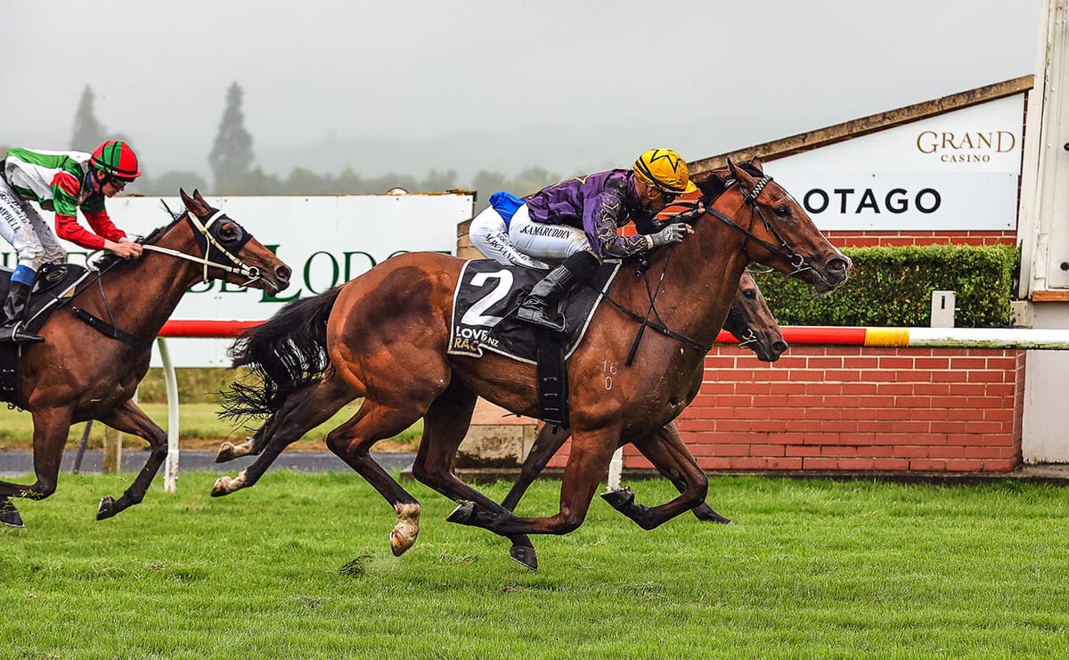 Gear change for Guineas hope