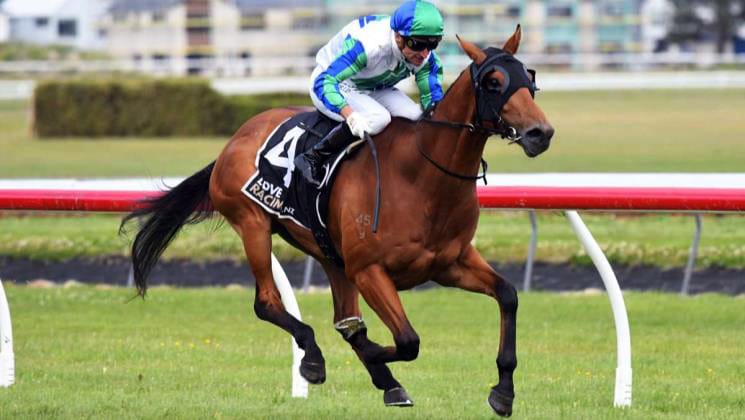 Exciting summer ahead for Waikato Stud