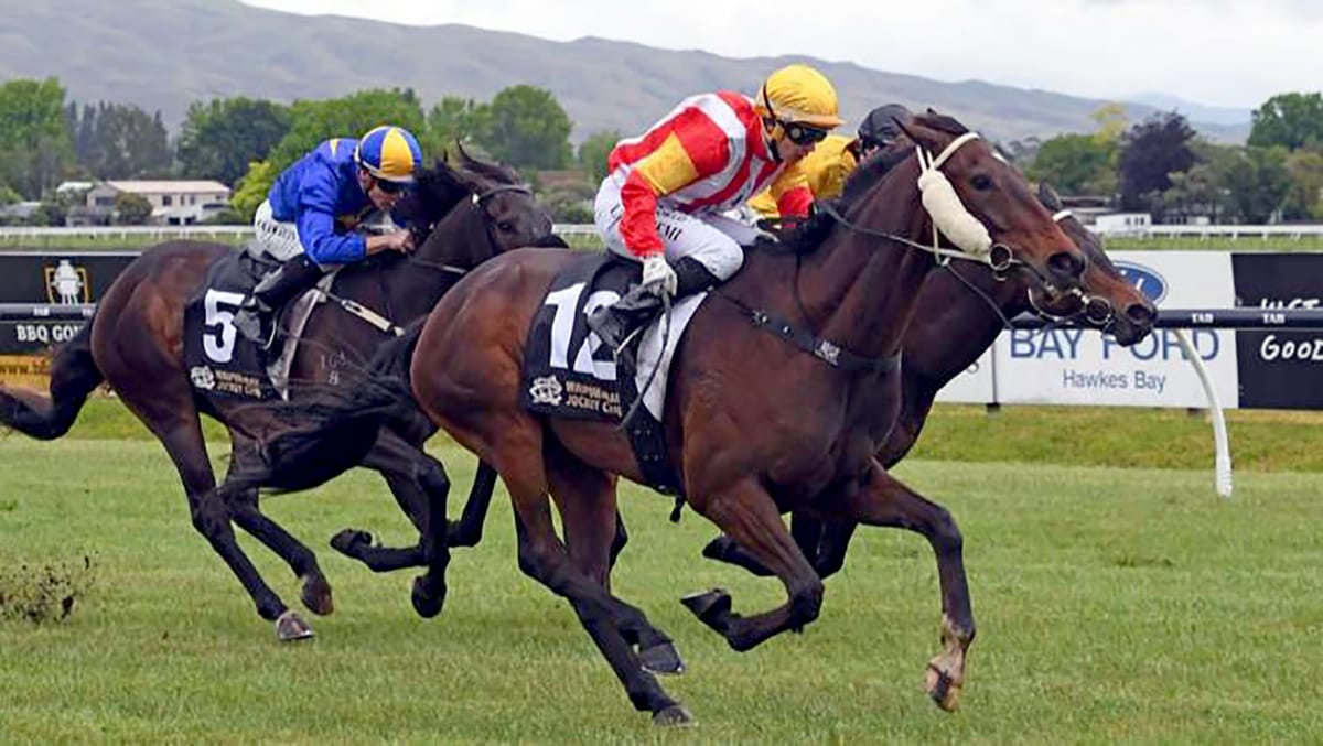 Stayer seeking to extend black-type record