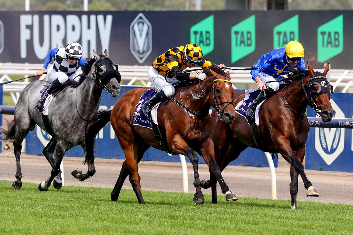 Not An Option caps massive day for Cambridge Stud