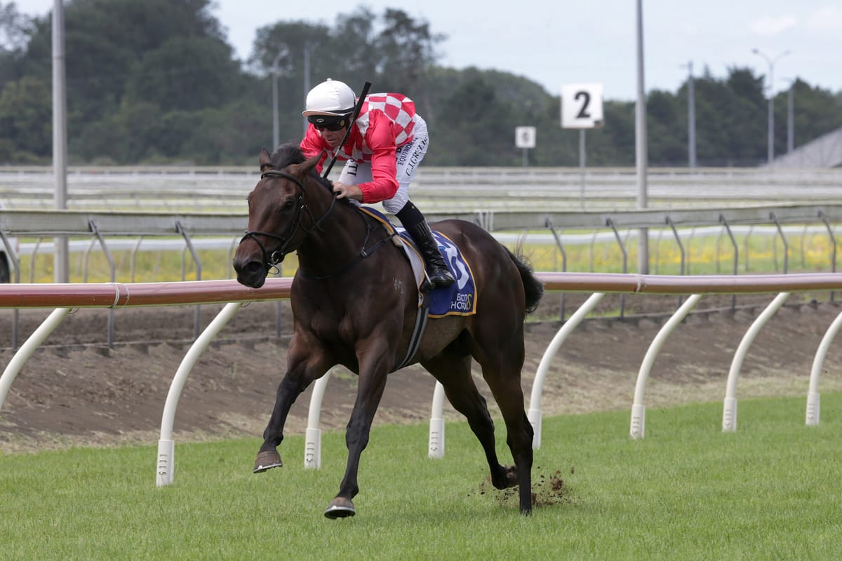 Orchestral impressive at Pukekohe