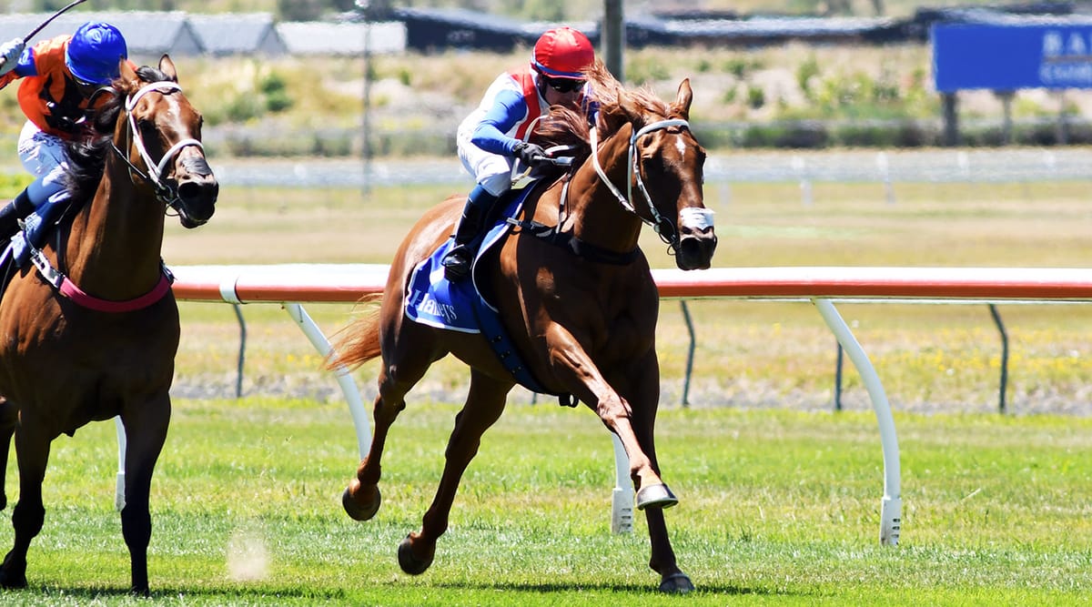 Our Echo looking to continue winning form at Trentham