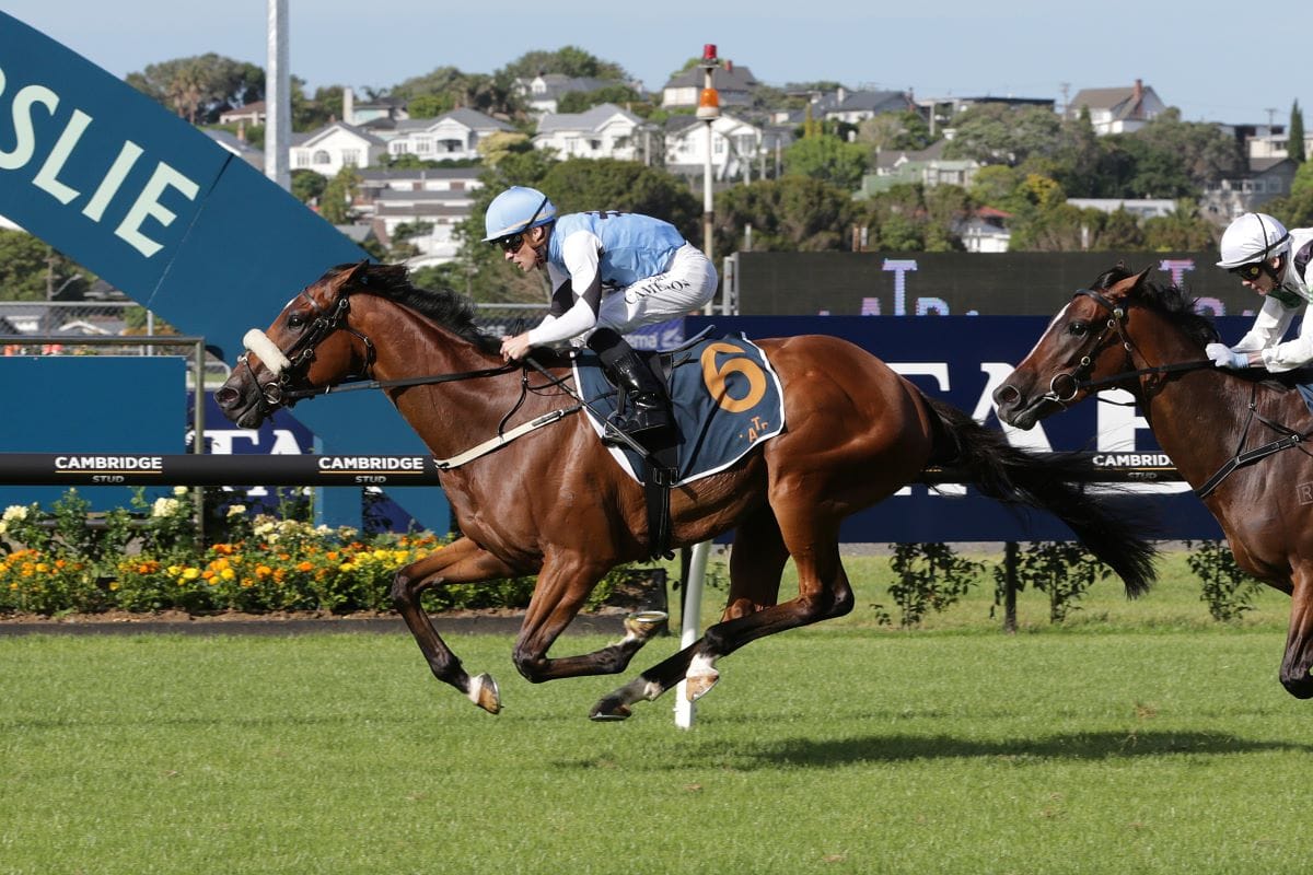 Renegade Rebel continuing on Derby path