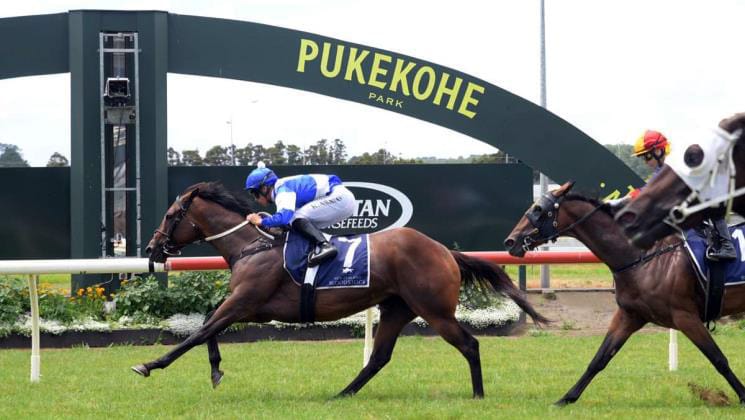 Johnson celebrates Pukekohe double