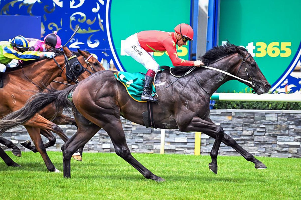 Derby hope unveiled at Geelong