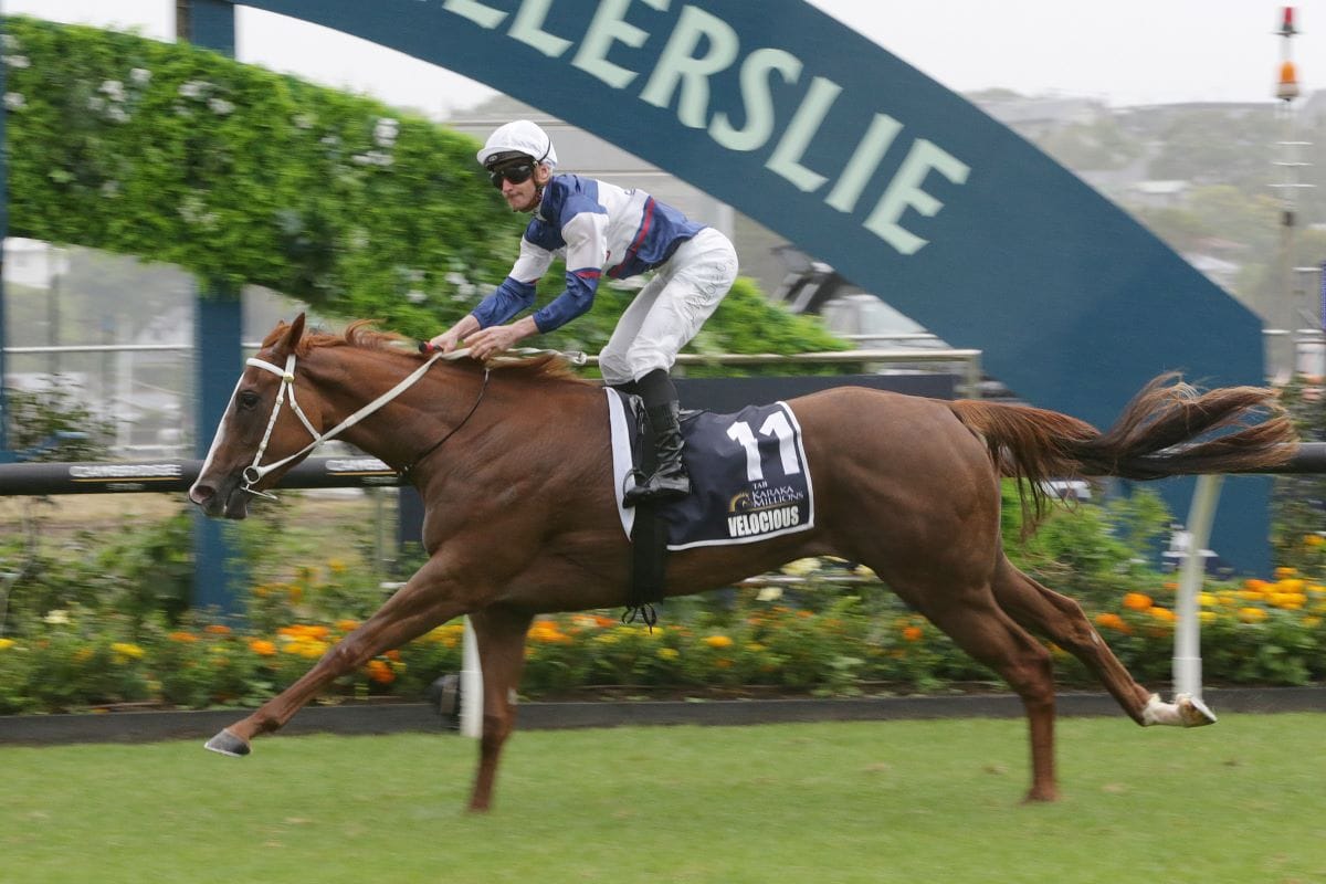 Turnover records smashed at TAB Karaka Millions