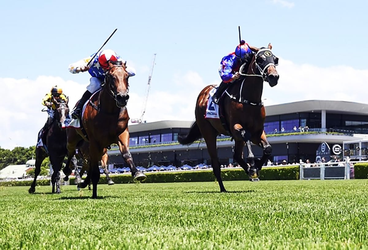 Savvy investment could produce Magic result