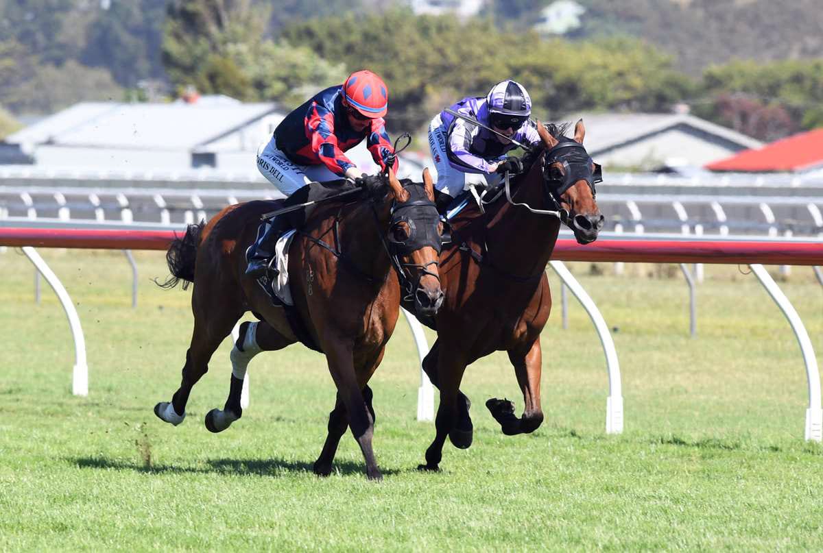 Plan B paying off for Mathews