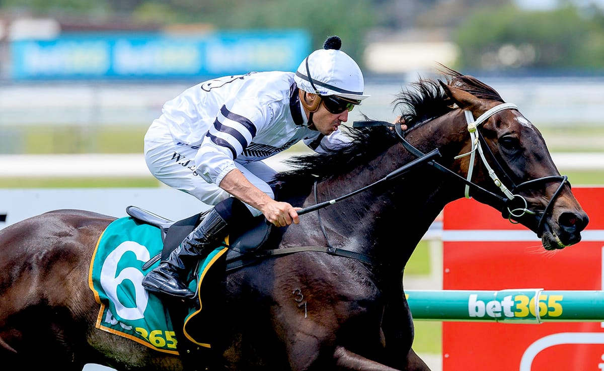 Wertheimer back in winning form