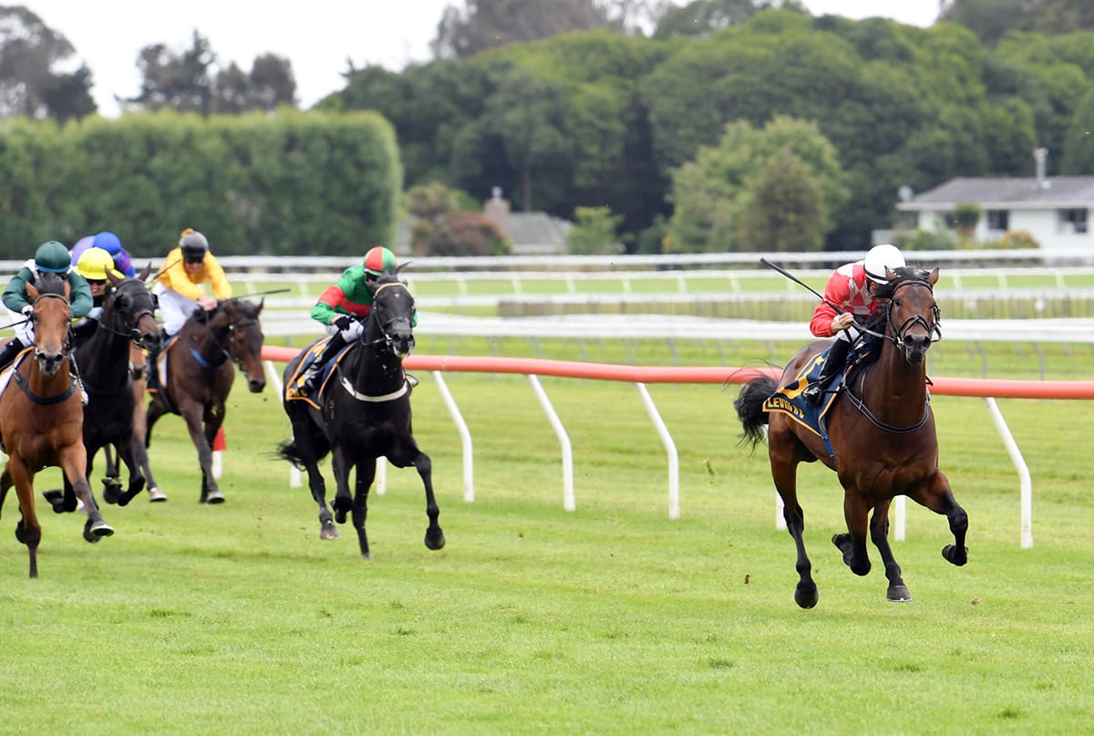 Zabmanzor spot on for Levin Classic