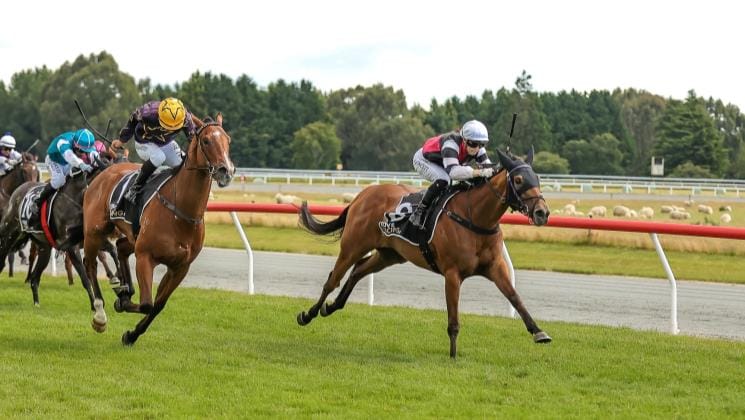 Aberlour seeking back-to-back Guineas wins