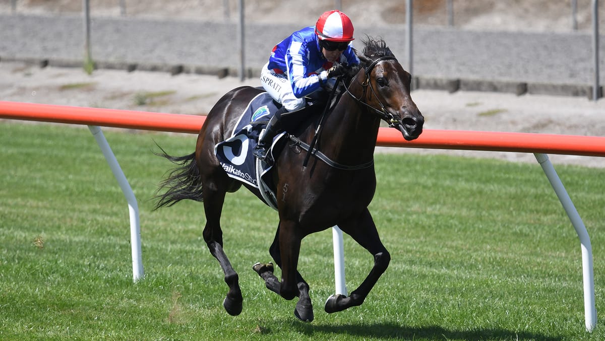 Kelsos unveil another exciting filly