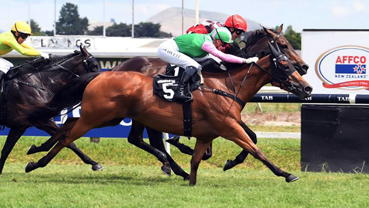 Guineas likely target for Aquilifer