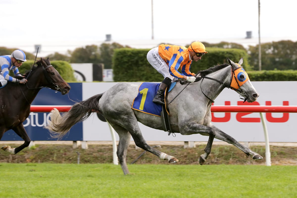 Triple Group winner Aromatic for sale on gavelhouse.com