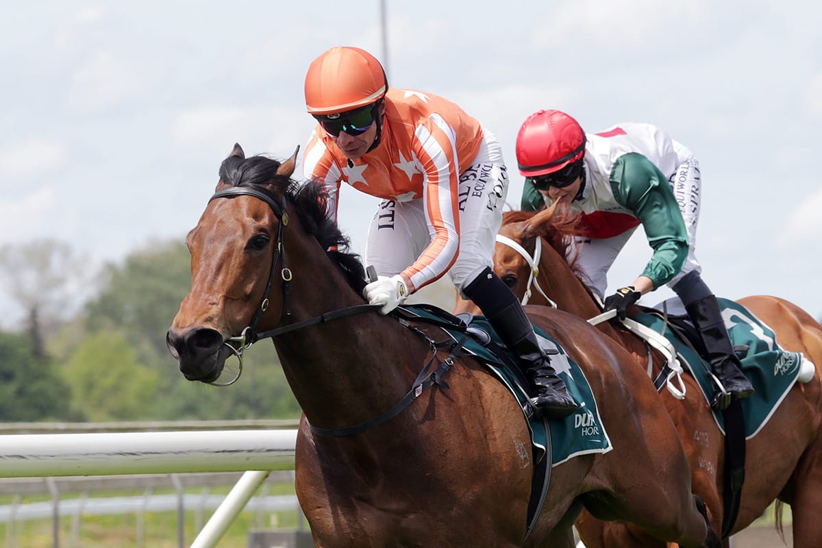 Colgan ready to strike at Otaki