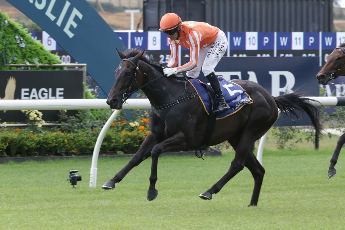 Owners enjoy being back at Ellerslie