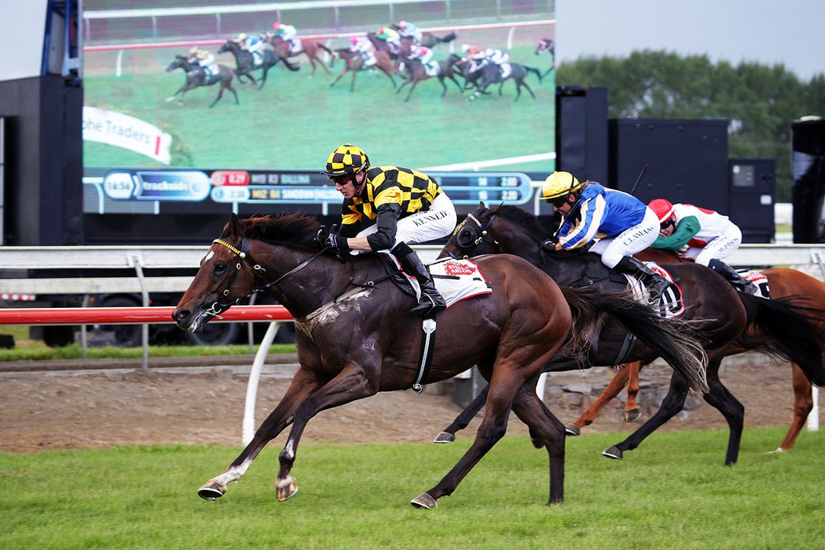 Group One winner gets another chance at Te Rapa