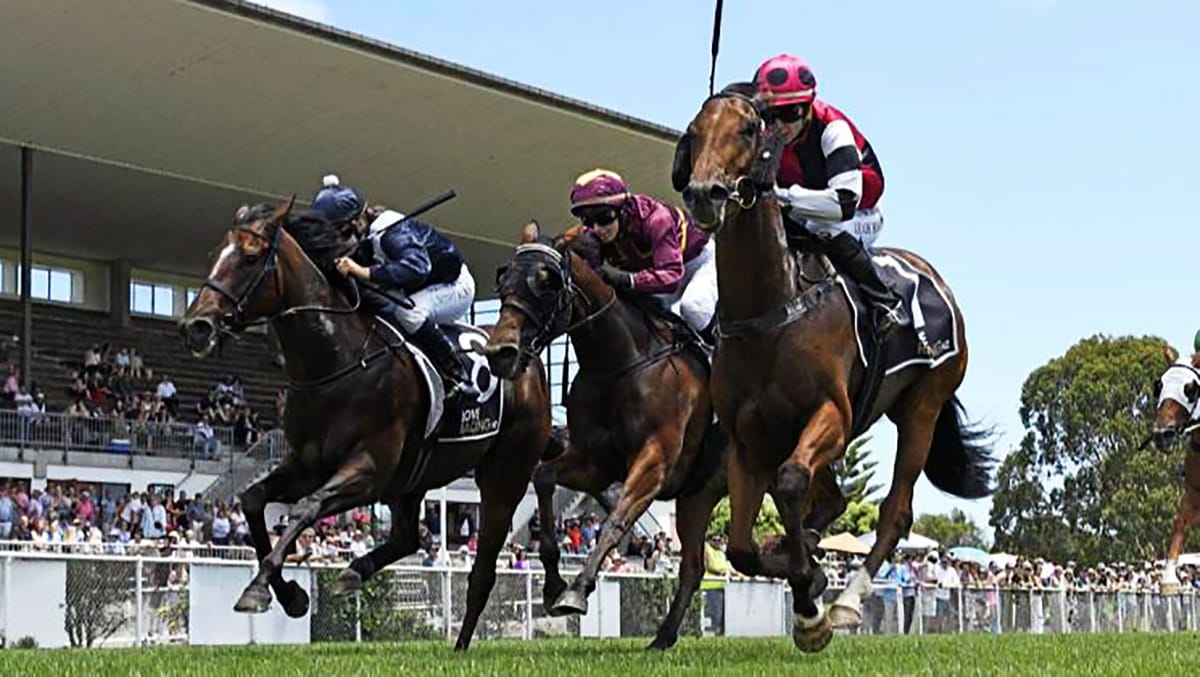 Tyler team on song for Wingatui