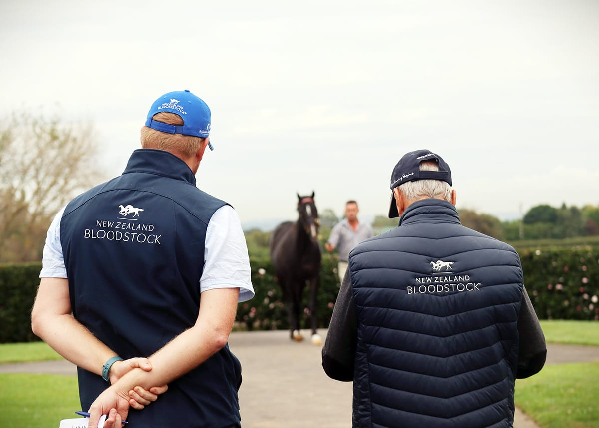 2024 National Online Yearling Sale Entries Open