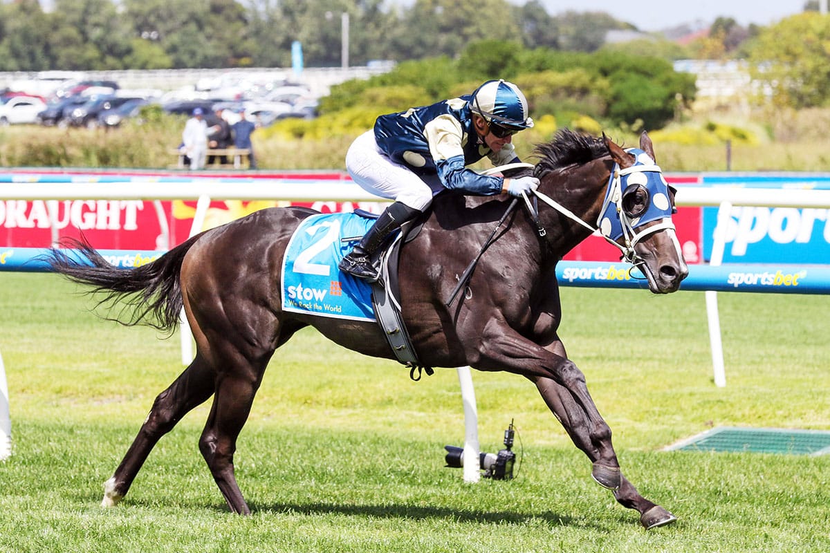 Sydney features on horizon for unbeaten Immediacy